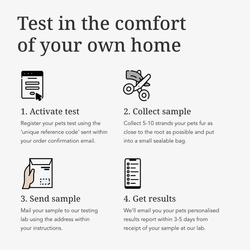 Basic Dog Intolerance Test