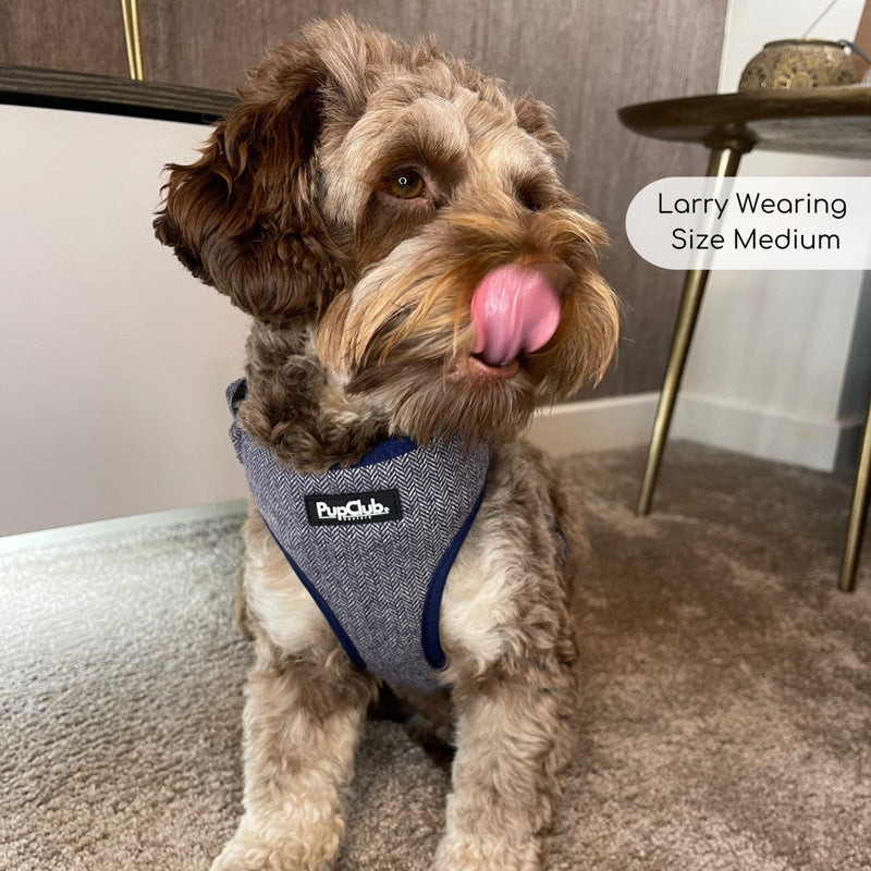 PupClub Dog Tweed Adjustable Harness - Blue