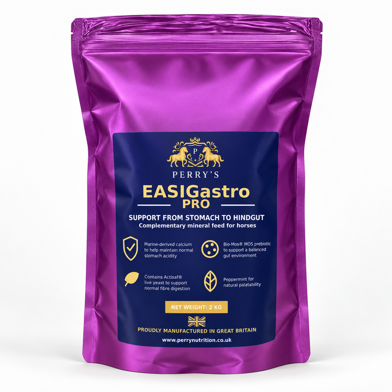 EASIGASTRO Pro