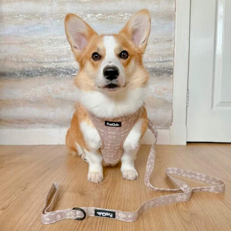 PupClub Dog Luxe Adjustable Harness - Toffee Latte Petals