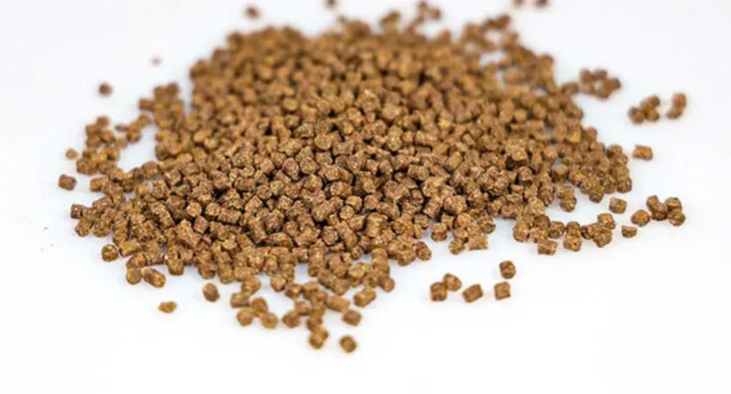 NWBAIT LAB 1kg Session Bundle
