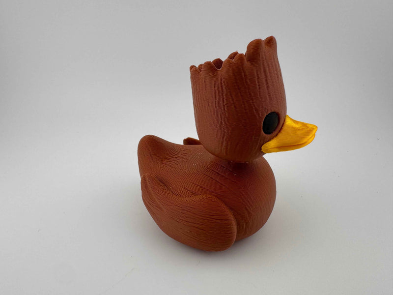 Superhero Duck - Keeping a watchful eye