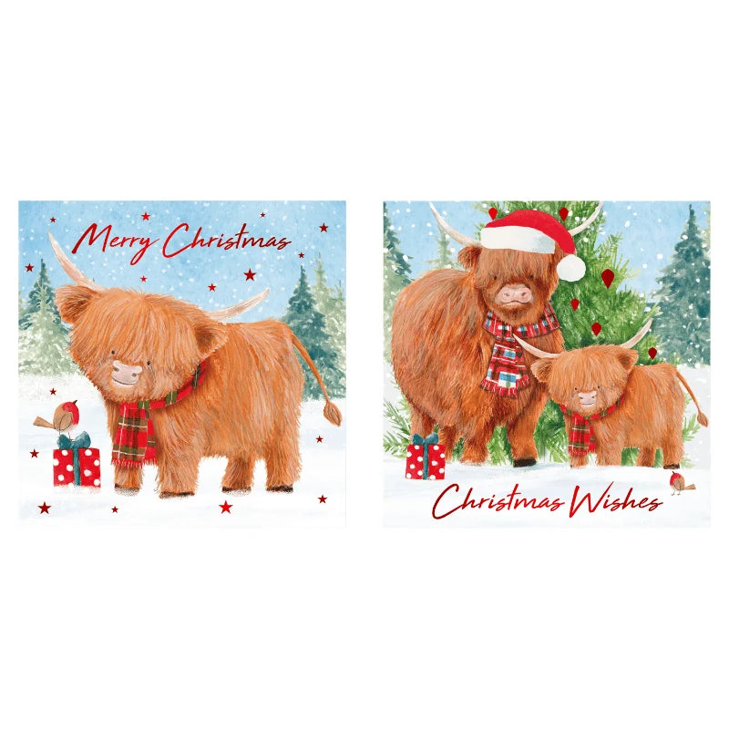 Christmas cards 12 pack - highland cow