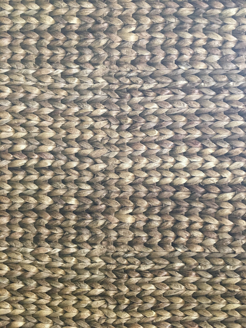 Water Hyacinth Horizontal Wallpaper