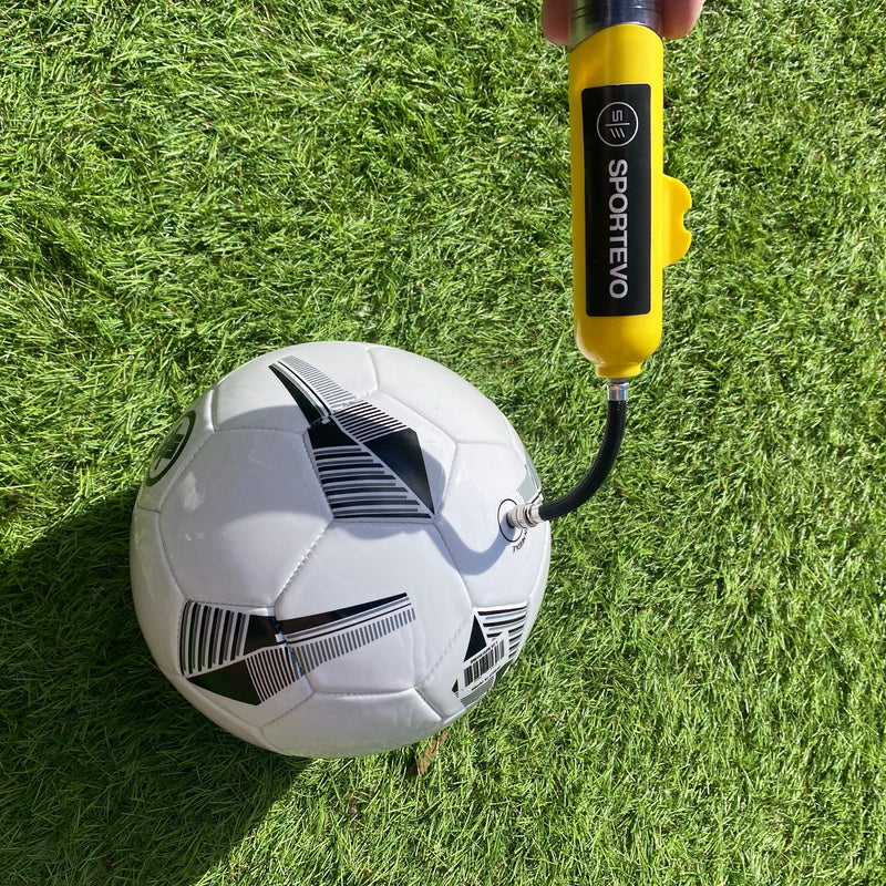 Dual Action Ball Pump