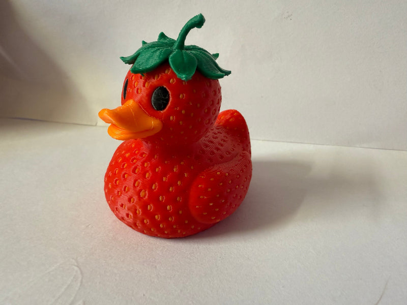Superhero Duck - Keeping a watchful eye
