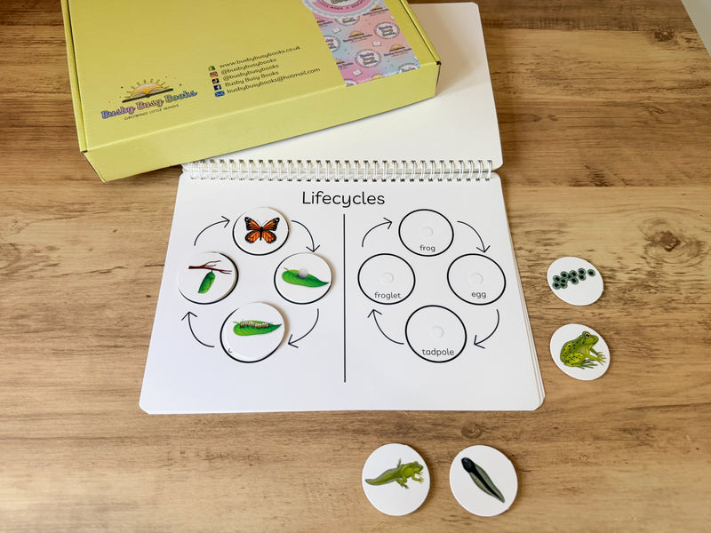 Early Years - 4-6 years bundle