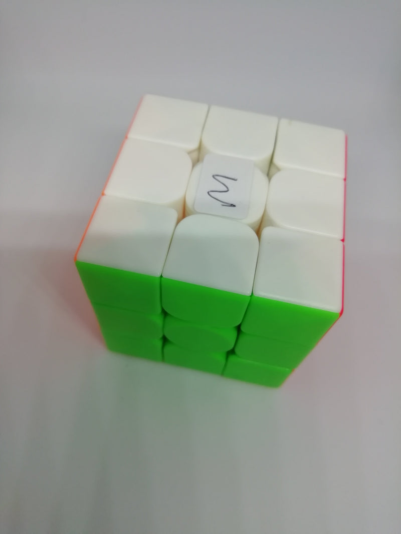 Neutrino Magnetic Meilong 3x3x3