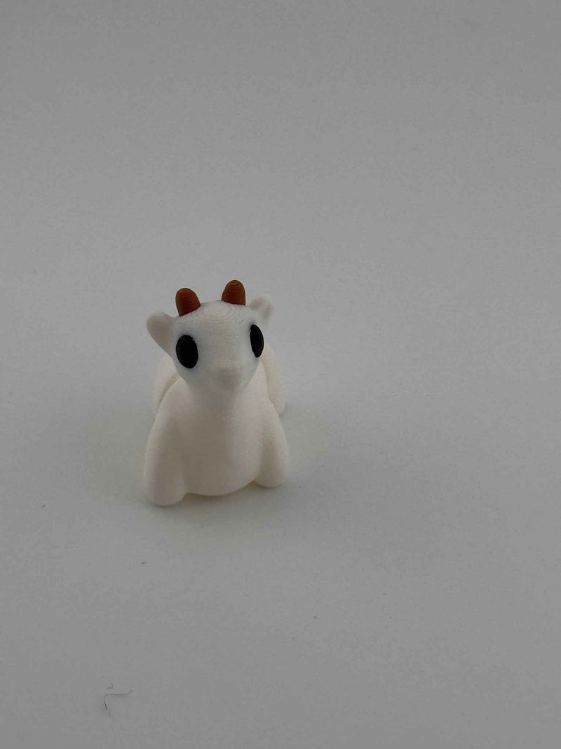 Goat Fidget - The king of the mountains