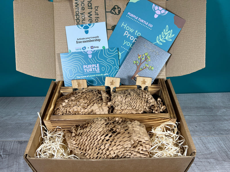 Plant Propagation Gift Set #5