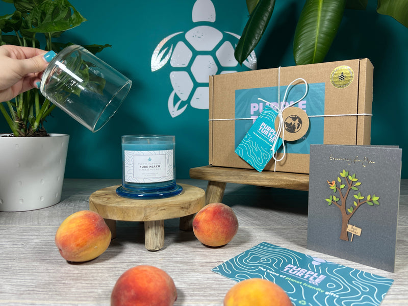Soy Wax Peach Candle Gift Set