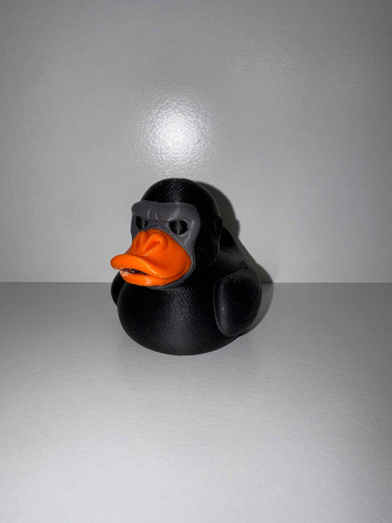Superhero Duck - Keeping a watchful eye