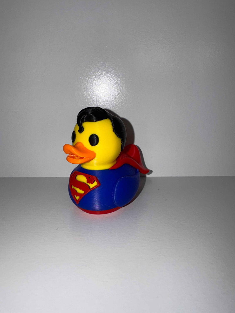 Superhero Duck - Keeping a watchful eye