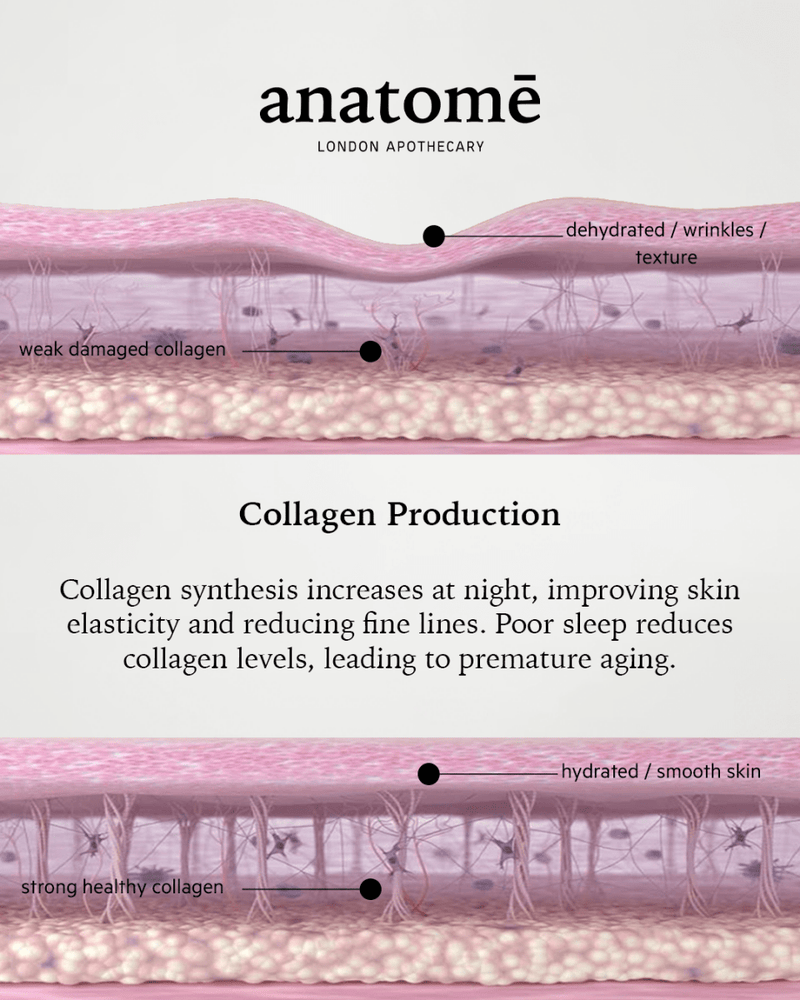 Illuminating Rose-hip, Grape Seed & Avocado Face Oil