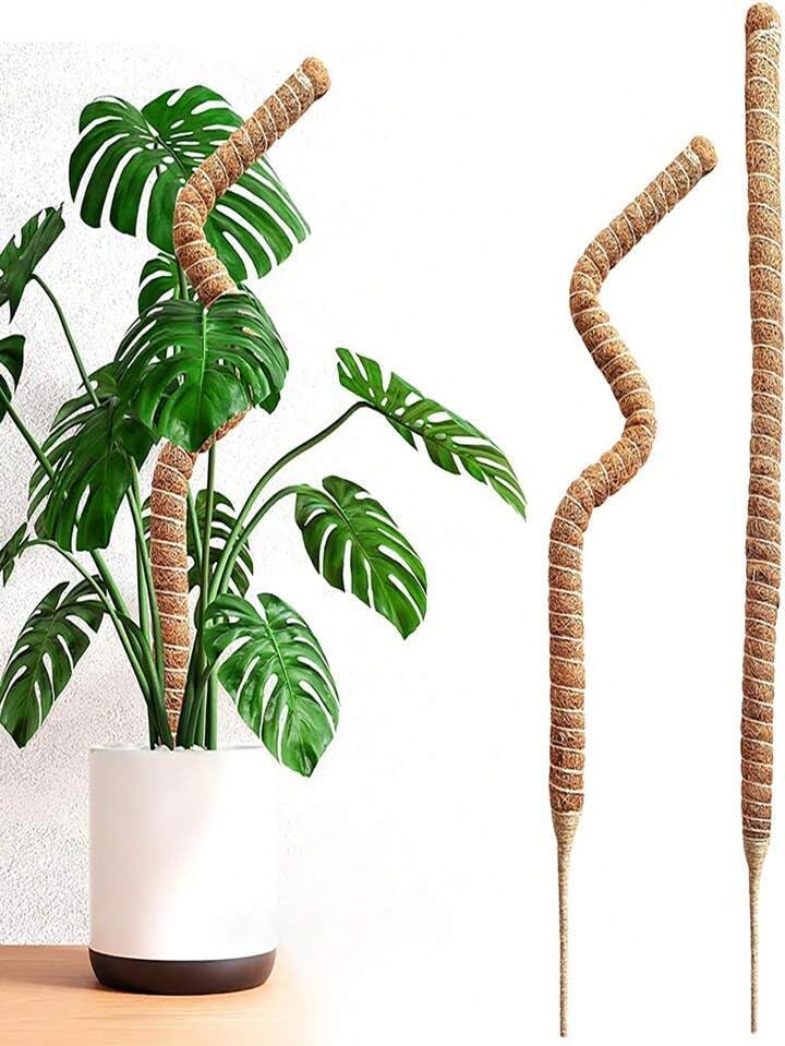 Bendable Moss Pole Plant Support 2 Pack 63.5cm Climbing Stakes