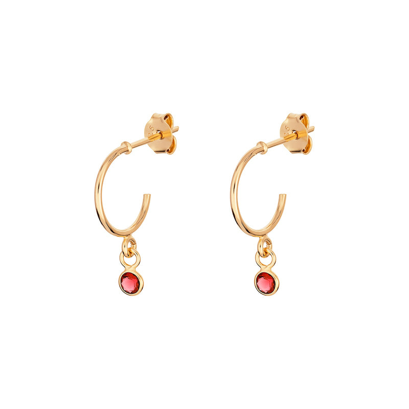 January Birthstone Hoop Earrings