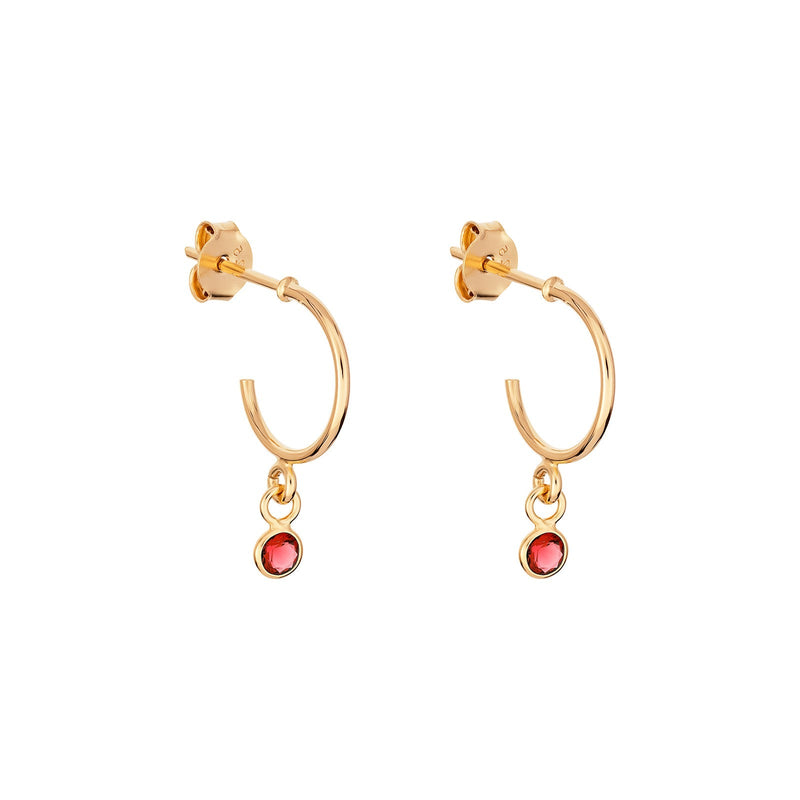 January Birthstone Hoop Earrings