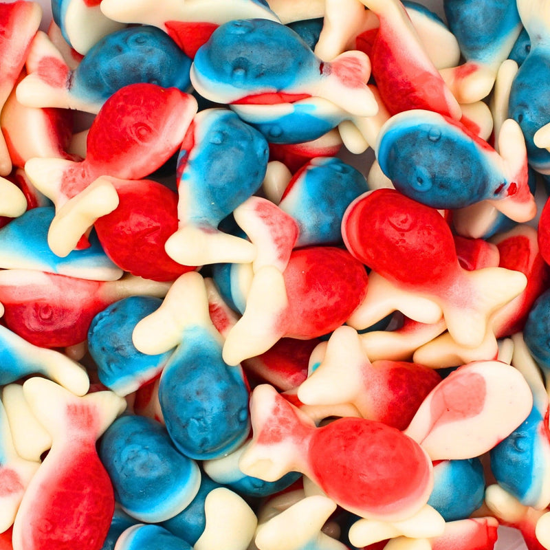 Jelly Filled Whales