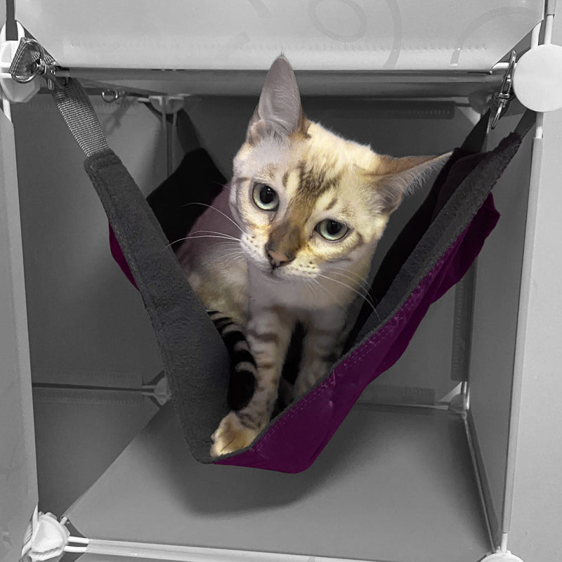 Kitty Cubby Cat Cube Play Tower MAXI