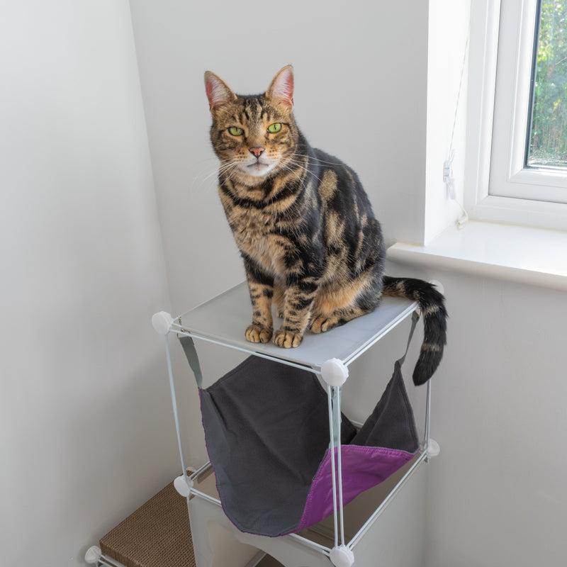 Kitty Cubby Cat Cube Play Tower MIDI
