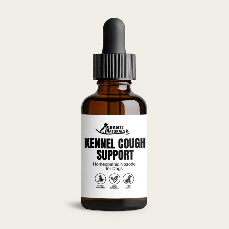 Kennel Cough Support Nosode