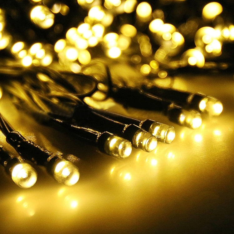 100 LEDs Holiday Decorative Light, 17m Blue Light, 17m Colorful Light, 17m White Light, 17m Warm White