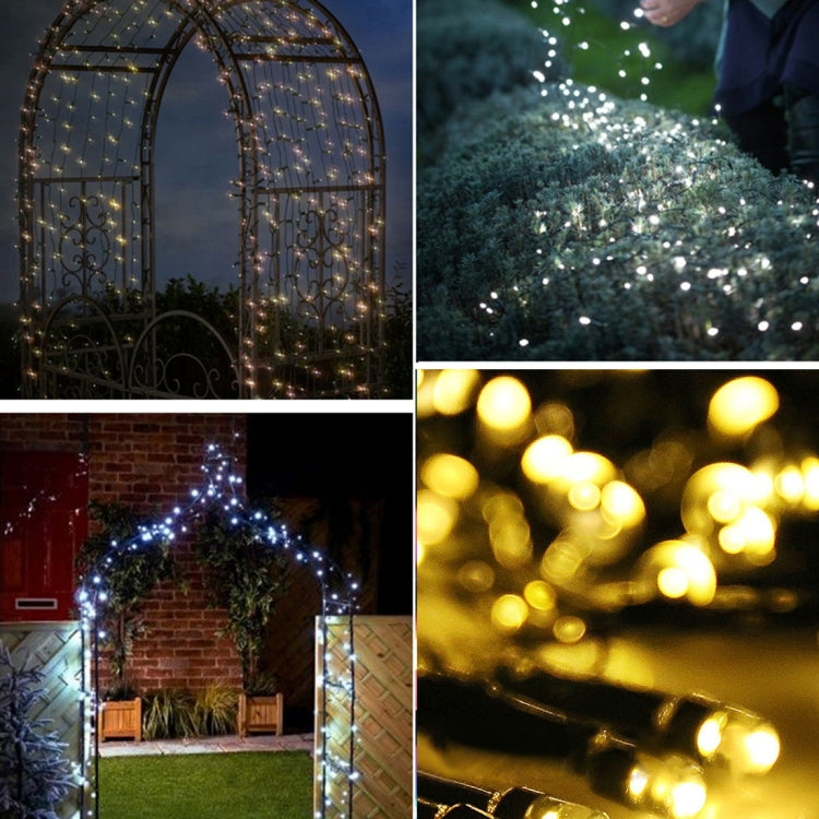 100 LEDs Holiday Decorative Light, 17m Blue Light, 17m Colorful Light, 17m White Light, 17m Warm White