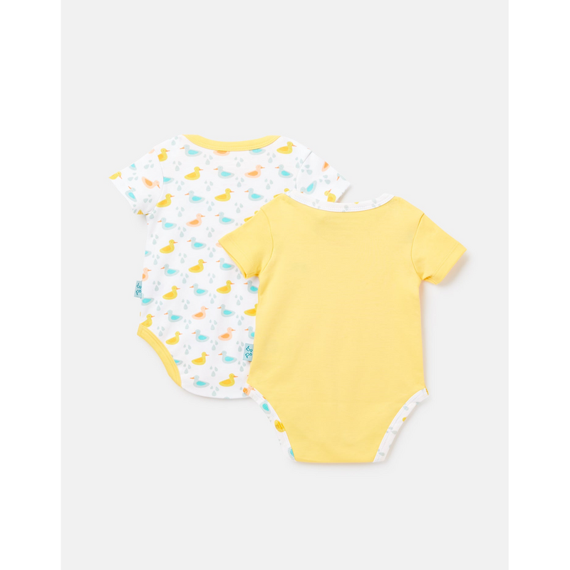 LRSS2024_LITTLEDUCKS_C_JPEG.jpg?output=webp&maxage=31d&w=1048&h=1048&fit=contain&we&n=-1