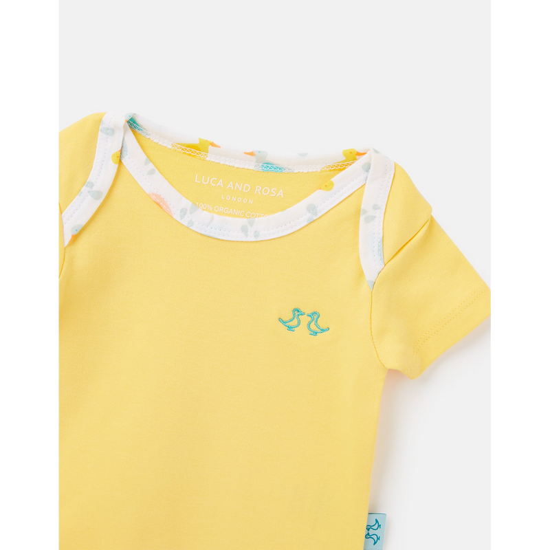 LRSS2024_LITTLEDUCKS_D_JPEG.jpg?output=webp&maxage=31d&w=1048&h=1048&fit=contain&we&n=-1