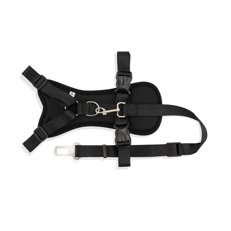 Strap Harness