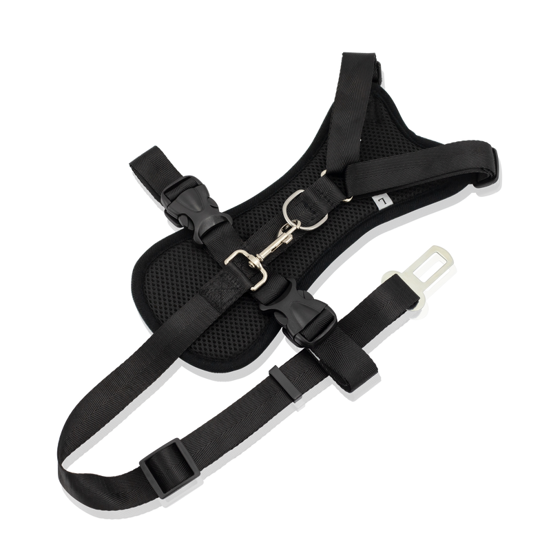 Strap Harness