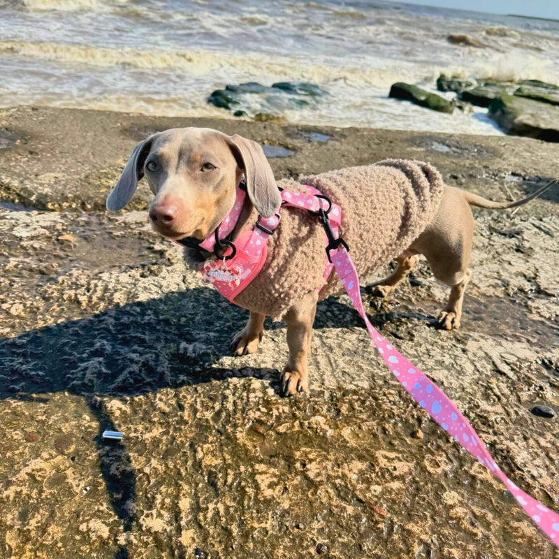 PupClub Dog Lead - Peachy Hearts