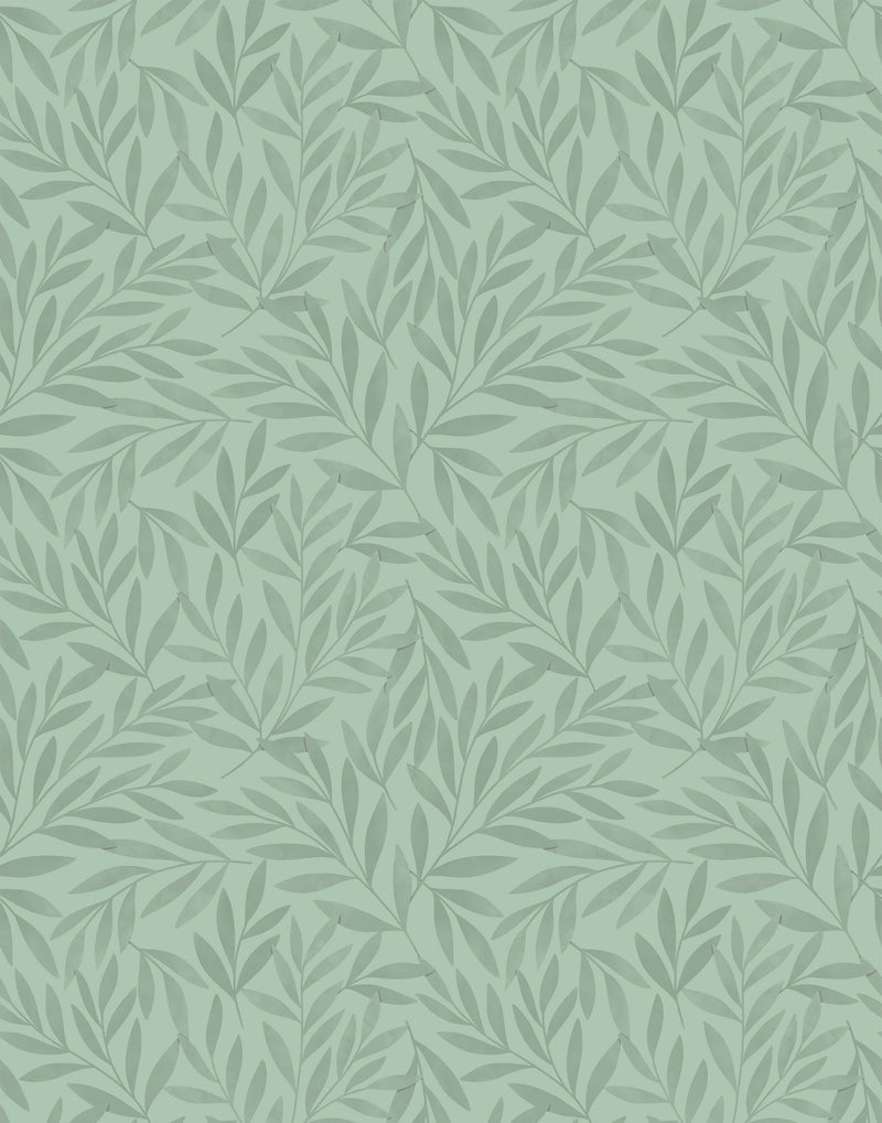 Olea