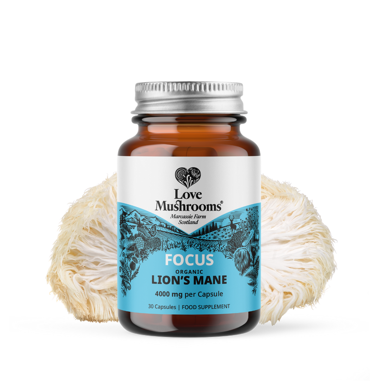 Lion’s Mane Capsules (30) – 4000mg per Capsule