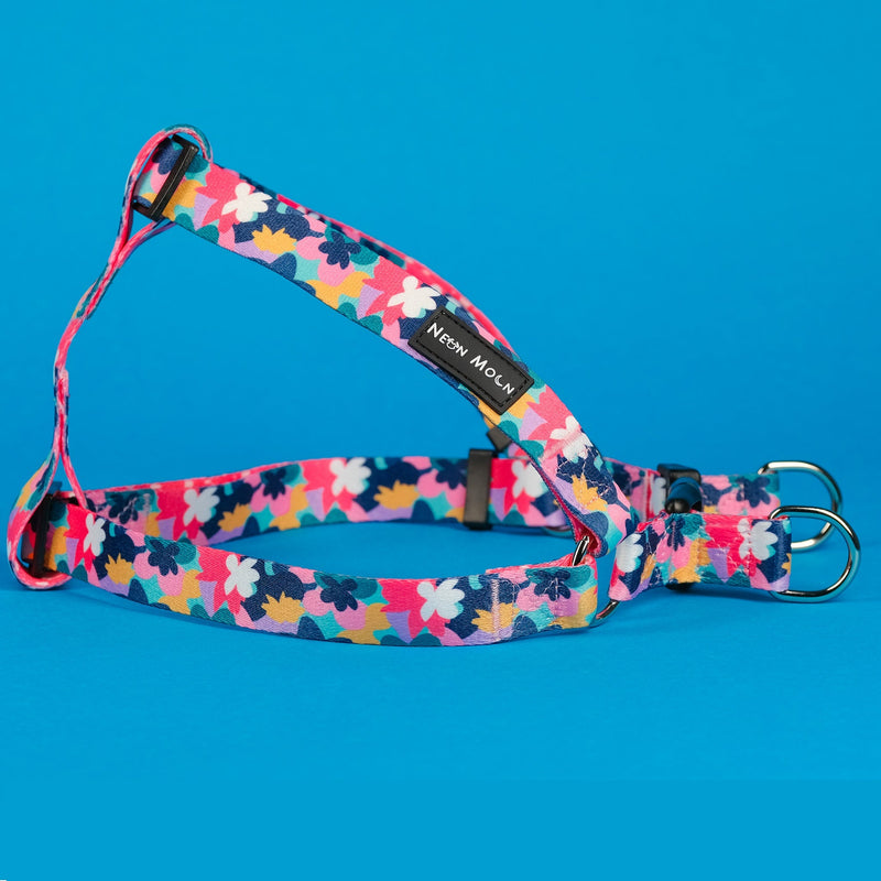 The Luna Step-In Harness