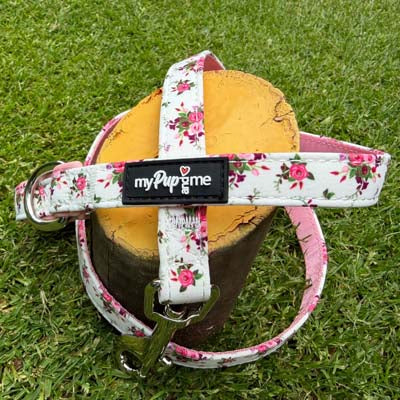 Luxury White Vintage Floral Lead by My Pup and Me