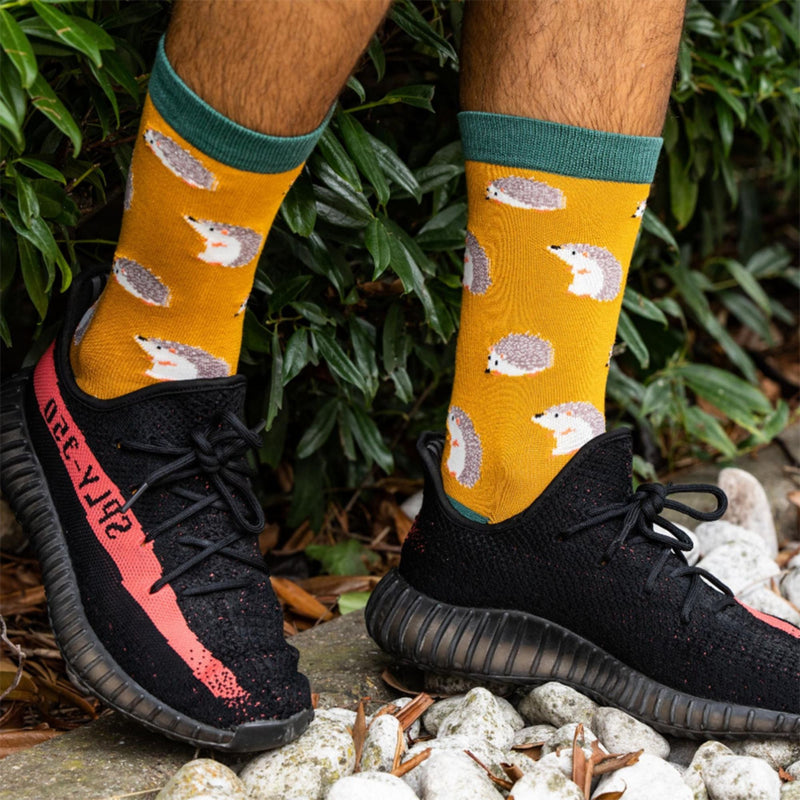 1 Pack Mens Novelty Teal Penguin Bamboo Socks