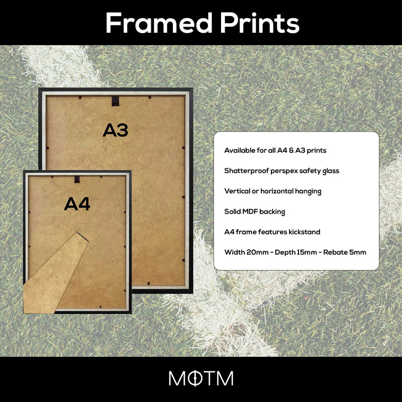 Personalised Liverpool Fan Shirt Print