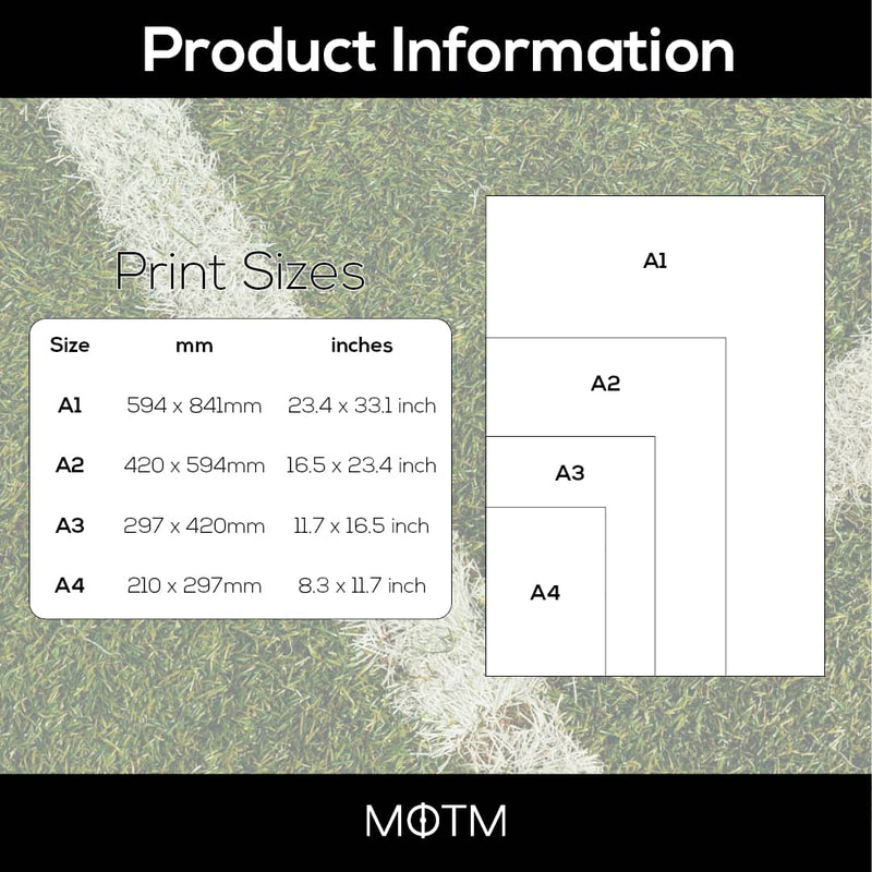 Personalised Aston Villa Family Print