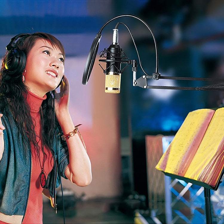 BM-800 Network K-Song Dedicated High-end Metal Shock Mount Microphone Set, BM800 Kit Blue, BM800 Kit Black, BM800 Kit Pink