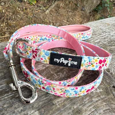 Luxury Meadow Floral Harness by My Pup and Me