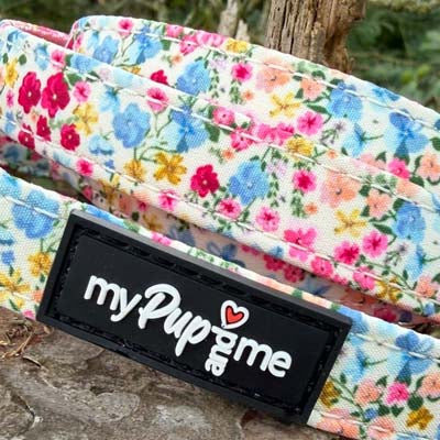 Luxury Blue Meadow Floral Lead by My Pup and Me