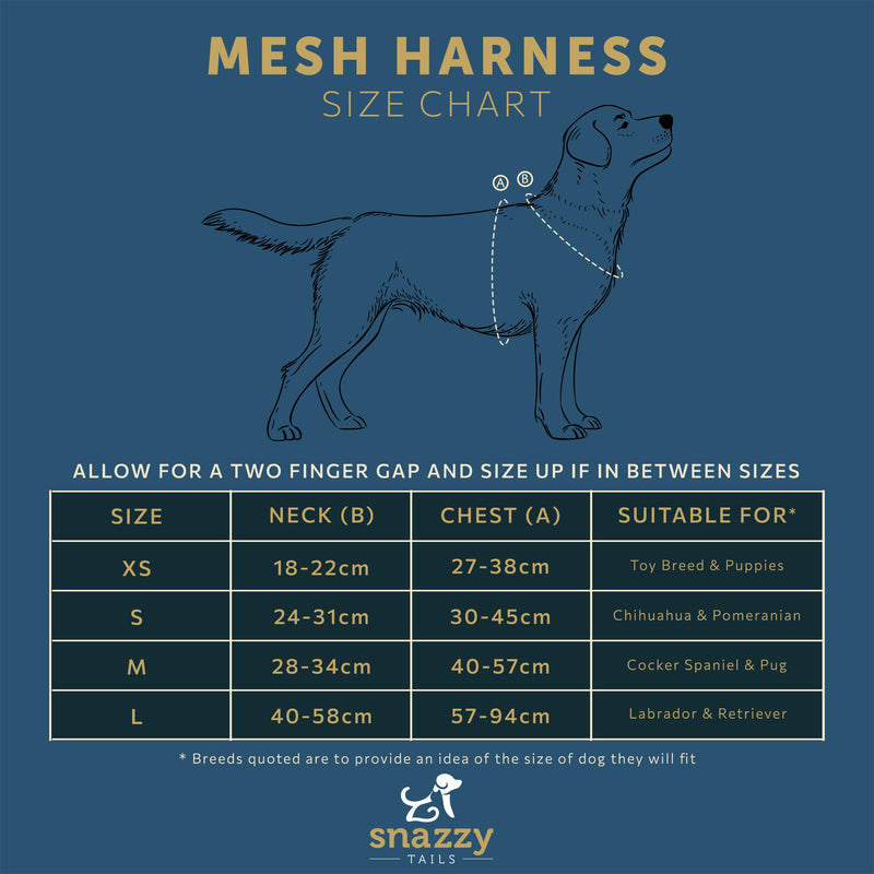 The Luna Mesh Harness