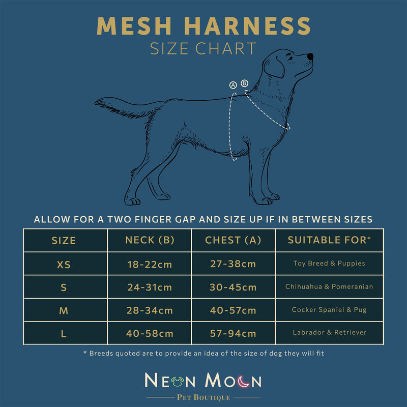 The Tod Mesh Harness