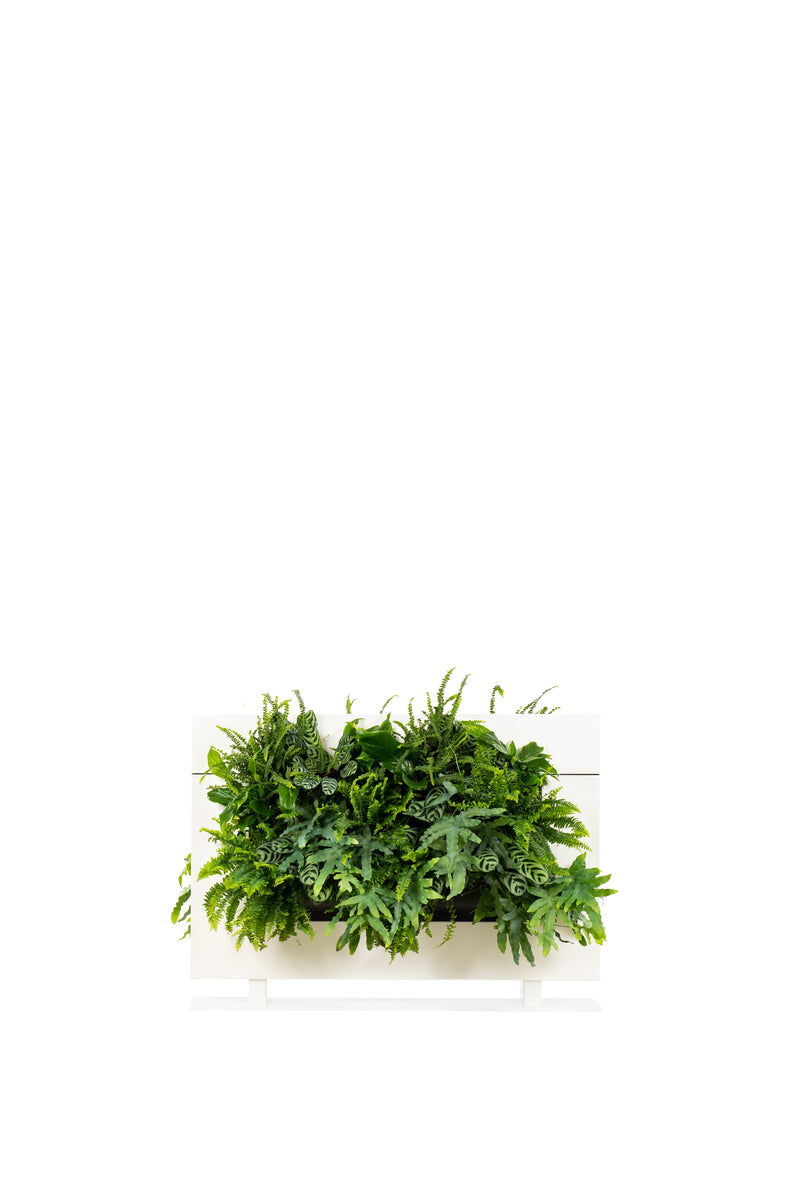 Living Wall Divider - 81cm - White