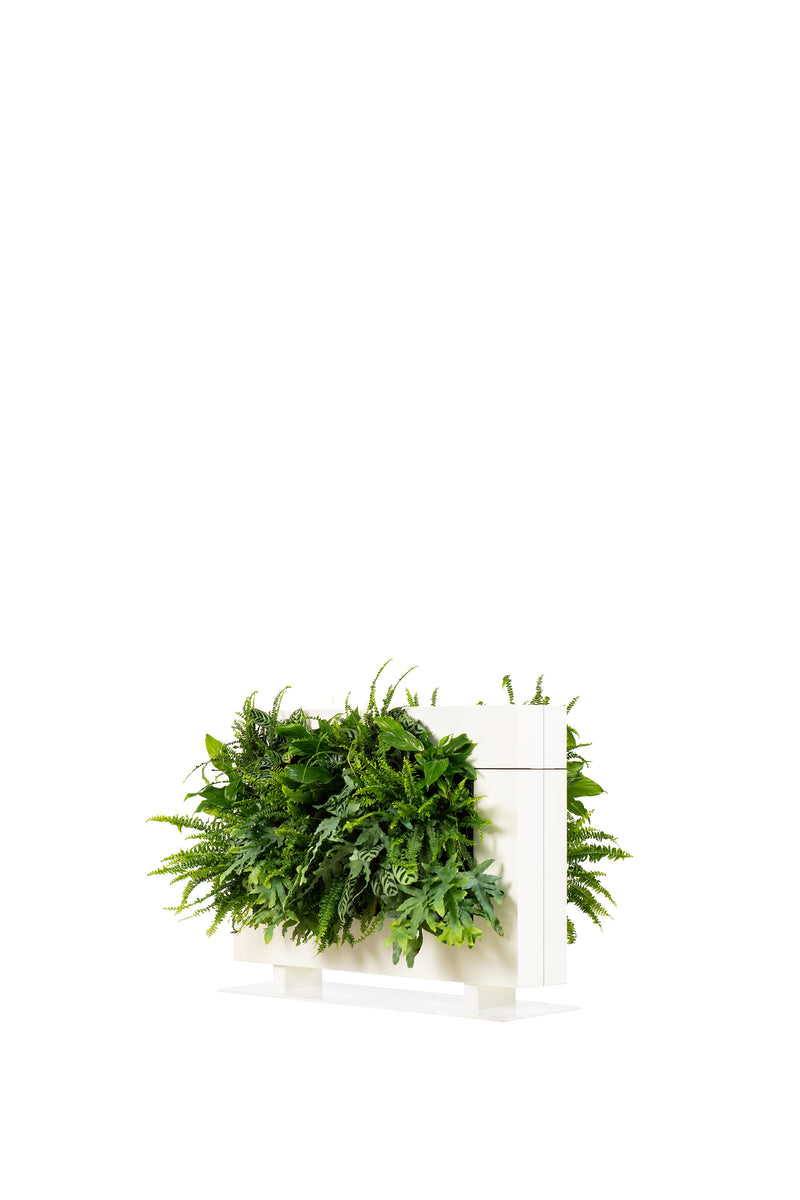 Living Wall Divider - 81cm - White