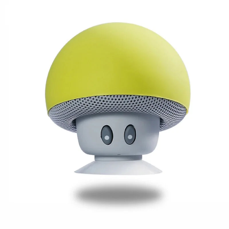 Wireless Bluetooth Speaker with 30ft Range, Powerful Subwoofer & Suction Cup Mount