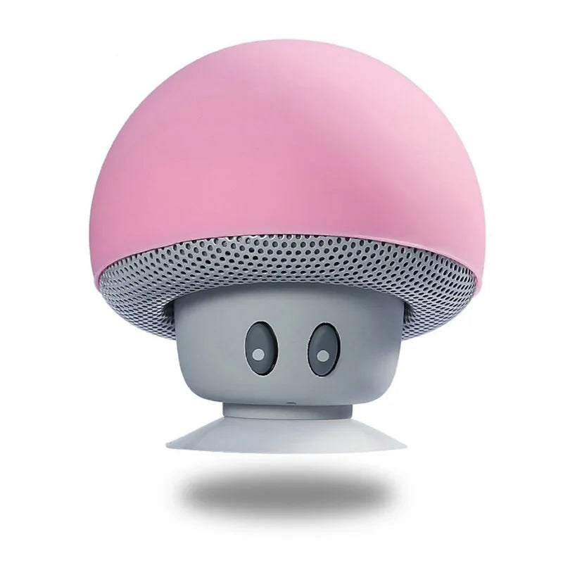 Wireless Bluetooth Speaker with 30ft Range, Powerful Subwoofer & Suction Cup Mount
