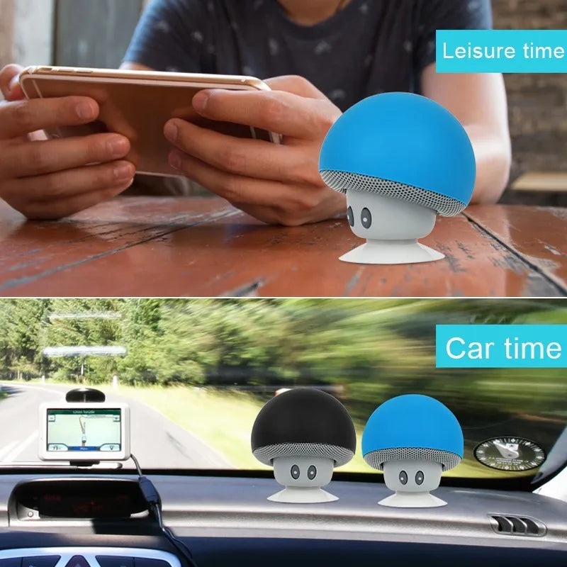 Wireless Bluetooth Speaker with 30ft Range, Powerful Subwoofer & Suction Cup Mount