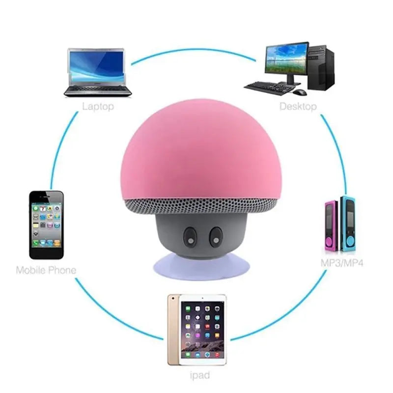 Wireless Bluetooth Speaker with 30ft Range, Powerful Subwoofer & Suction Cup Mount